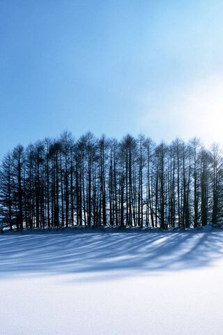 Whispers of Winter: A S..