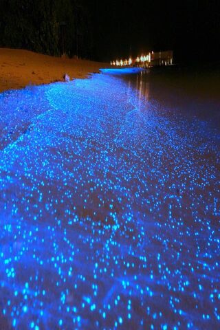 Beach Glow