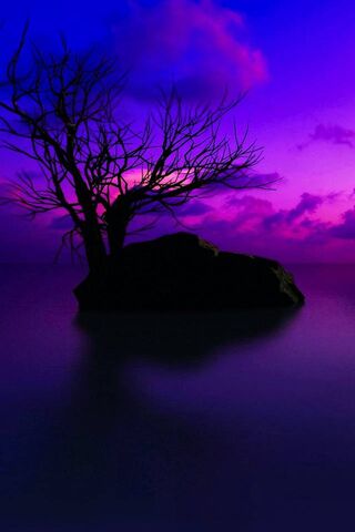 Whispers of the Twilight Shore