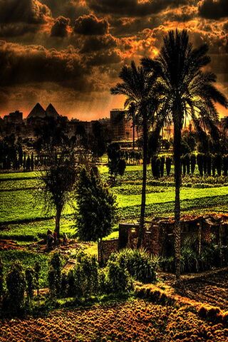 Golden Hour Serenity 🌅