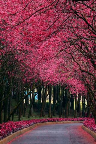 Pink Highway Wallpaper - Download to your mobile from PHONEKY