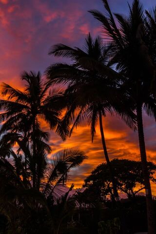Tropical Twilight Bliss..