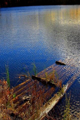 Serenity at Lake View 🌅