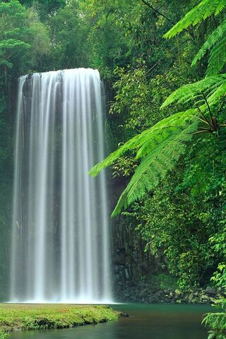 Serenity Falls: Nature's Hidden Gem 🌿💧