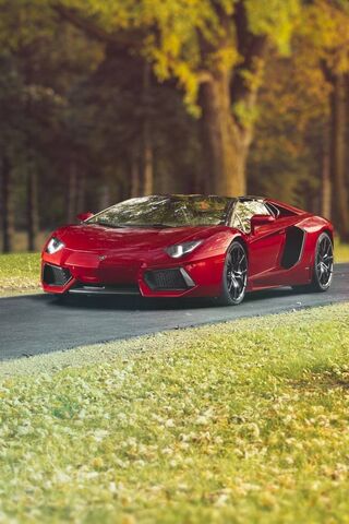 Red Lamborghini