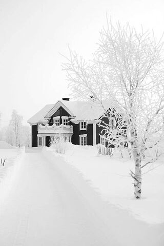 Winter Wonderland Retre..