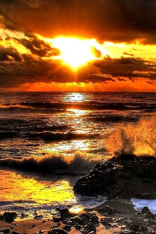 Golden Horizons: A Sunset Symphony 🌅✨