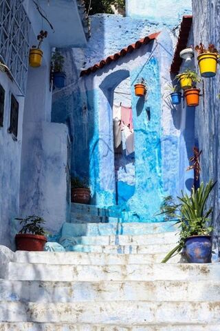 Whispers of Love in Blue