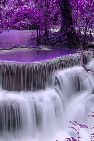Purpurowy wodospad