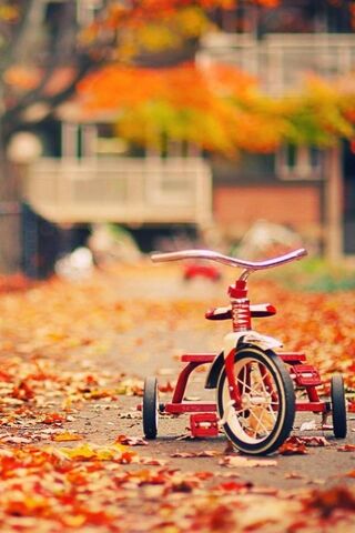 Autumn Adventures on Th..