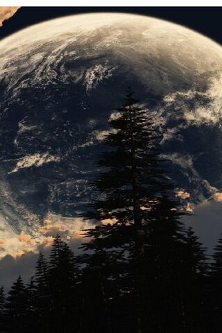 Lunar Majesty: A Glimpse of the Big Moon 🌕✨