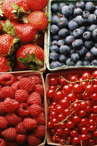 Berry Bliss: A Colorful Harvest 🍓🫐