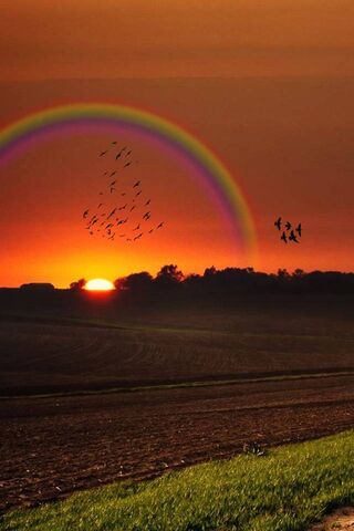 Chasing Rainbows at Sun..