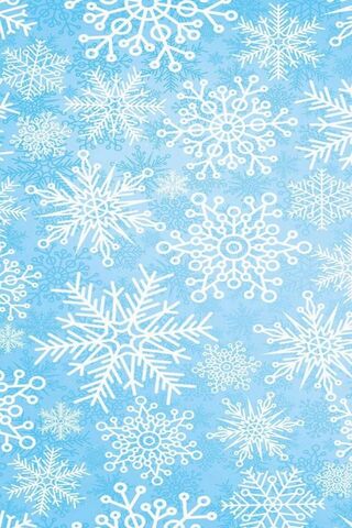 Winter Wonderland: The Magic of Snowflakes ❄️✨