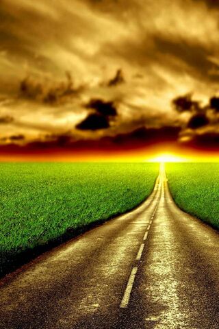 Journey into the Golden Horizon 🌅