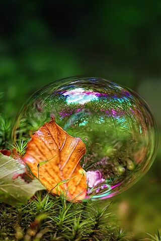 Bubble-I
