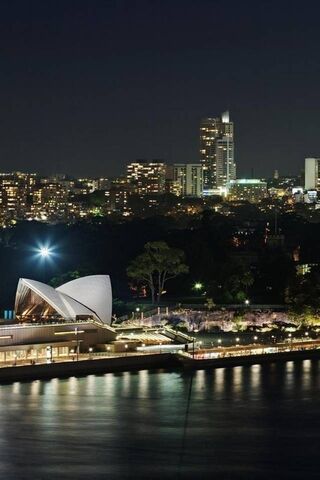 Twinkling Lights: A Night in the City