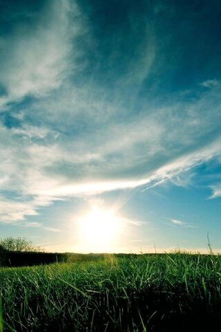 Serenity in Nature's Embrace 🌅🍃