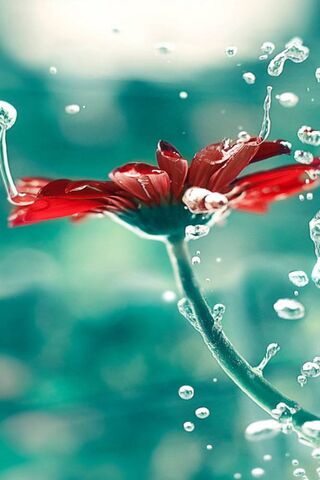 Awakening in a Dream