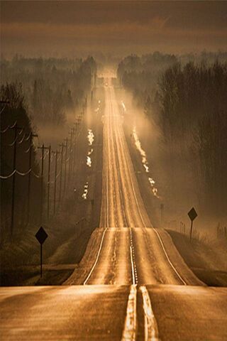 Journey Through the Mist 🌫️🚗