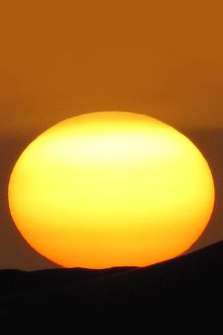 Golden Horizon: A Skyview Delight 🌅