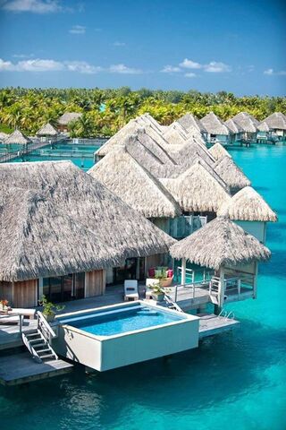 Tropical Bliss: A Slice..