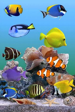 Underwater Wonderland: A Dive into Marine Life 🌊🐠