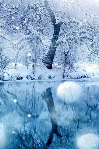 Winter's Embrace ❄️🌨️