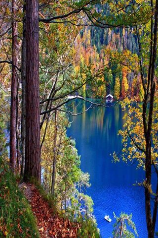 Autumn Serenity by the Lake 🍂🌊