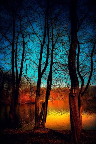 Twilight Reflections 🌅