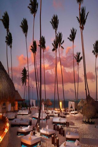 Tropical Paradise at Dusk 🌅🏖️