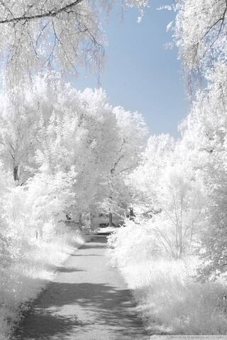 Winter Wonderland Escap..