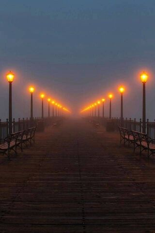 Mystical Glow: A Journey Through the Fog