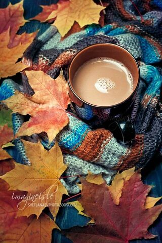 Autumn's Warm Embrace 🍂☕