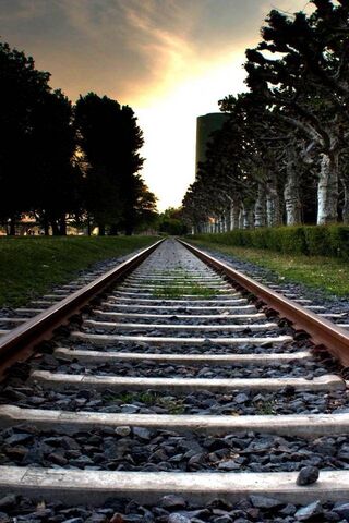 Journey Through the Rai..