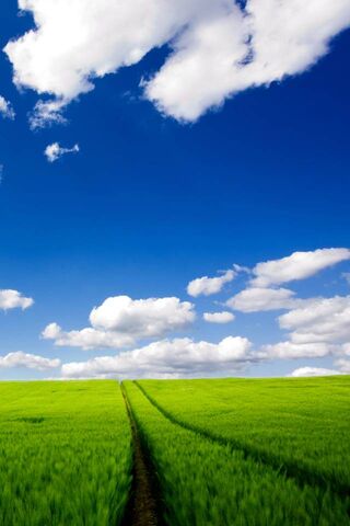 Journey Through the Green Fields 🌾☁️