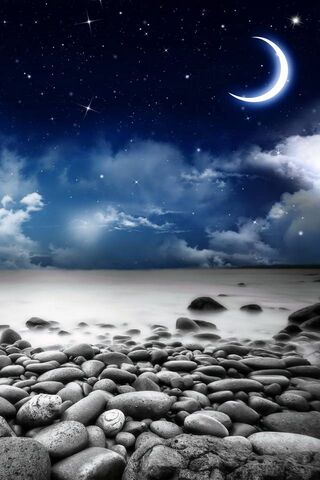 Moonlit Serenity: A Nig..