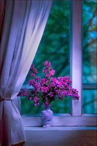 Whispers of Love Throug..
