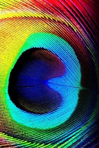 Vibrant Colors of Natur..