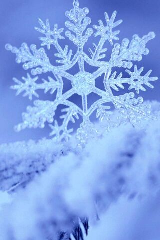 Winter's Crystal Wonder ❄️✨