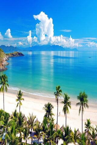Paradise Found: A Tropi..