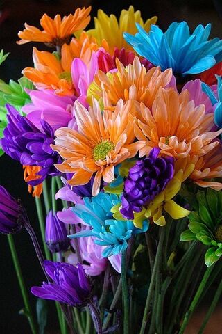 Vibrant Blooms of Sprin..