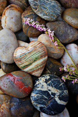 Heart of Nature: A Colorful Stone Collection 🌈💖