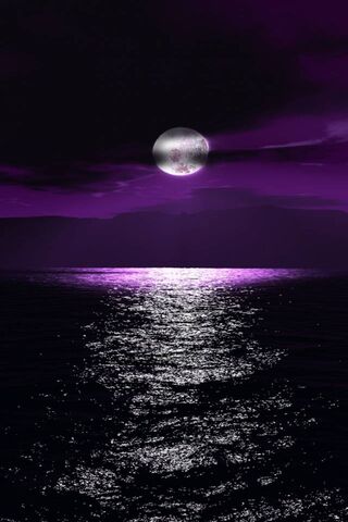 紫月亮