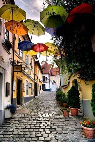 Charming Umbrella Lane: A Stroll Through Colorful Dreams