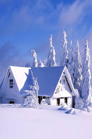 Winter Wonderland Retreat ❄️🏡