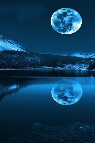 Noche de luz de luna
