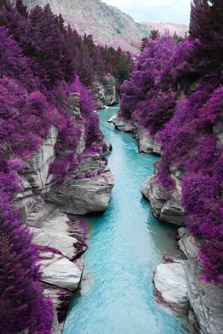 Mystical Waters of Scotland 🌊💜