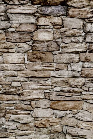 Nature's Mosaic: The Beauty of Stone Walls 🏞️🪨
