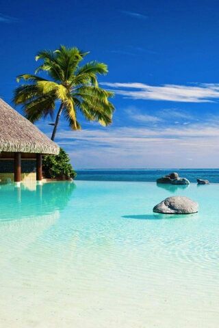 Tropical Bliss: A Slice..